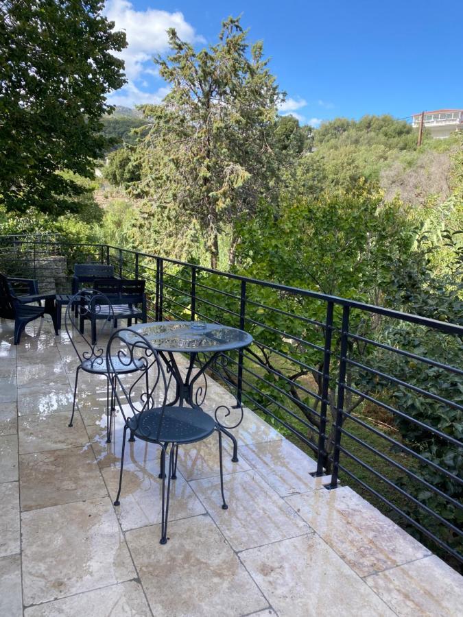 Home Sweet Home 2 Pieces 42 M2 Chambre, Salon, Cuisine, Grande Terrasse, Parking Proche Centre Ville Et Mer Bastia  Exteriör bild