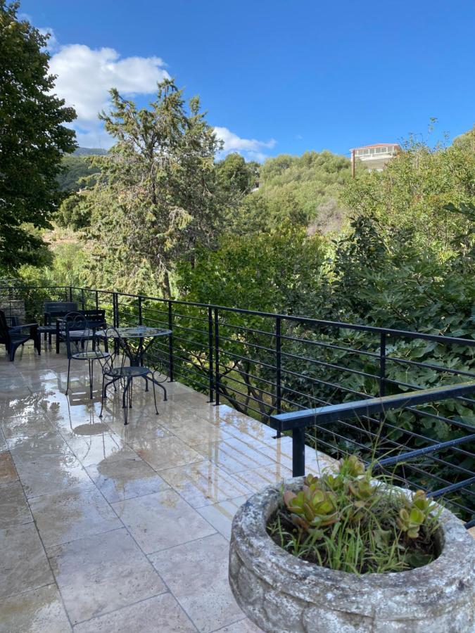 Home Sweet Home 2 Pieces 42 M2 Chambre, Salon, Cuisine, Grande Terrasse, Parking Proche Centre Ville Et Mer Bastia  Exteriör bild