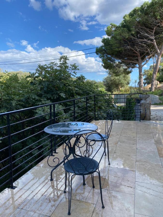 Home Sweet Home 2 Pieces 42 M2 Chambre, Salon, Cuisine, Grande Terrasse, Parking Proche Centre Ville Et Mer Bastia  Exteriör bild