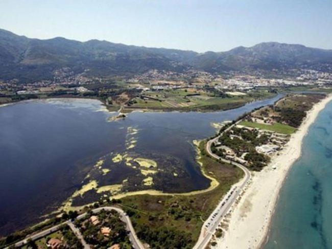 Home Sweet Home 2 Pieces 42 M2 Chambre, Salon, Cuisine, Grande Terrasse, Parking Proche Centre Ville Et Mer Bastia  Exteriör bild